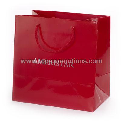 Gloss laminated Promo Paper Bag
