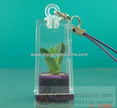 Mini plant keychain