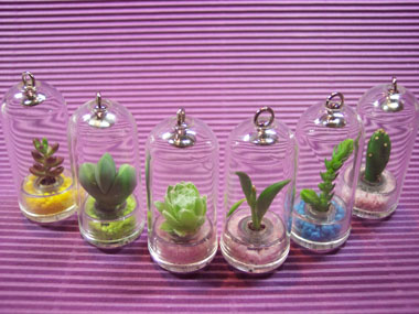Capsule Mini Plant