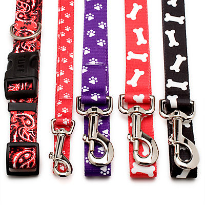 Pet Collar and Leash