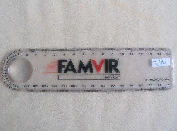 Ruler with magnifier