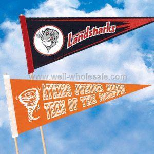 9 x 24 Pennants