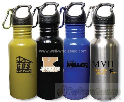 Stainless Steel Bottle