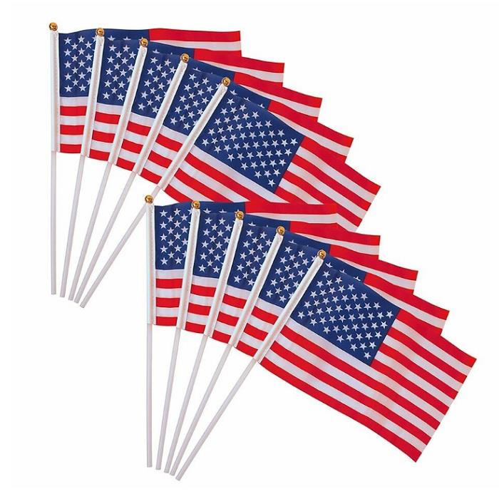 Custom Polyester Demonstration Hand Held Waving Flag